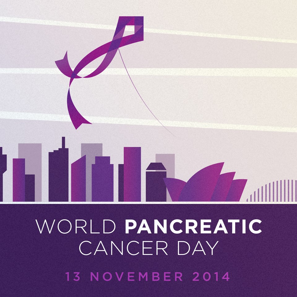 World Pancreatic Cancer Day Zinc Moon